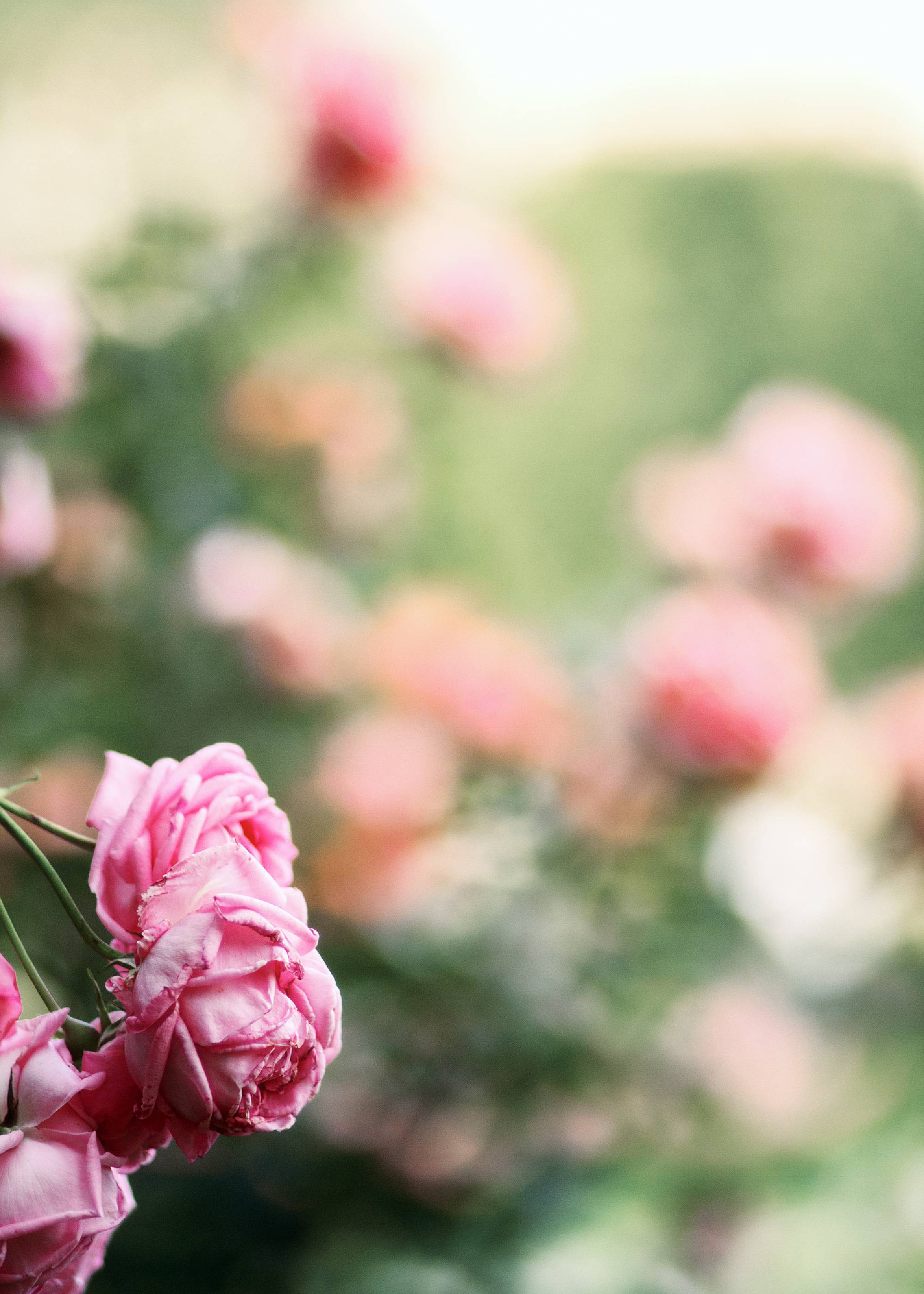 HTML Lightbox Free Download